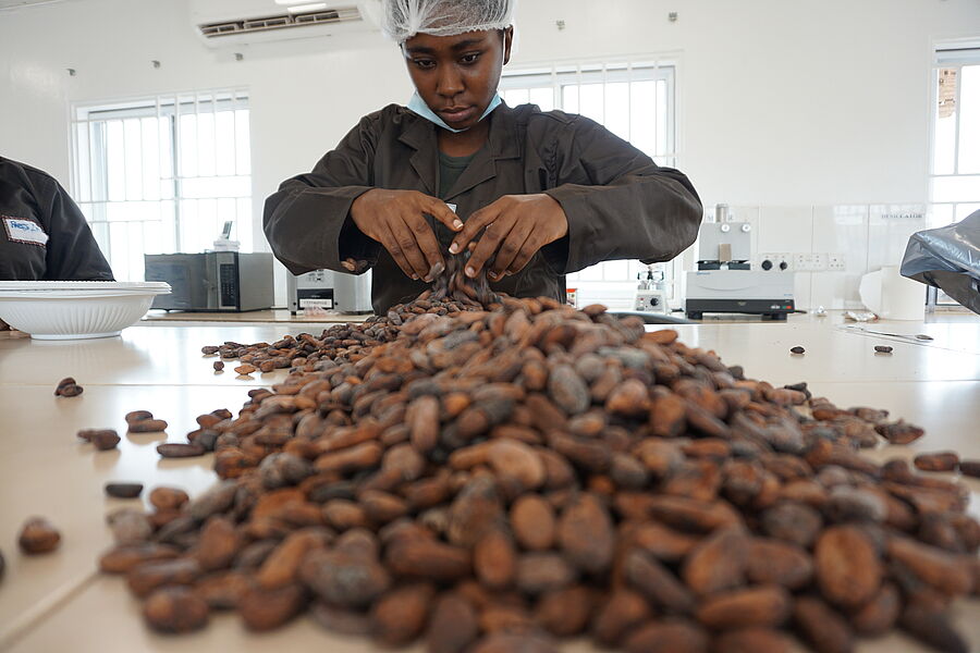 Mensch mit Kakaobohnen