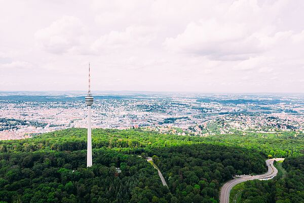 Landschaft