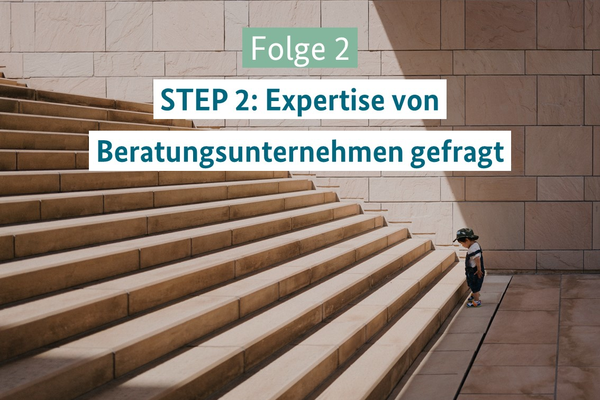 STEP 2: Expertise von Beratungsunternehmen gefragt