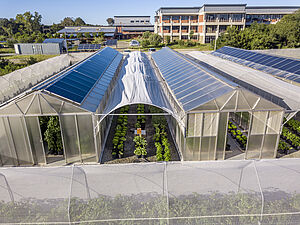 Gewächshäuser mit Solarpaneln auf dem Dach