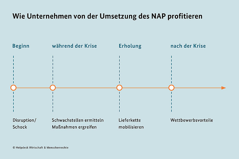 Grafik wie Unternehmen von der Umsetzung des NAP profitieren 