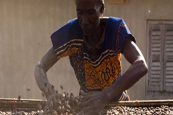 Arbeiterin Kakaobohnen