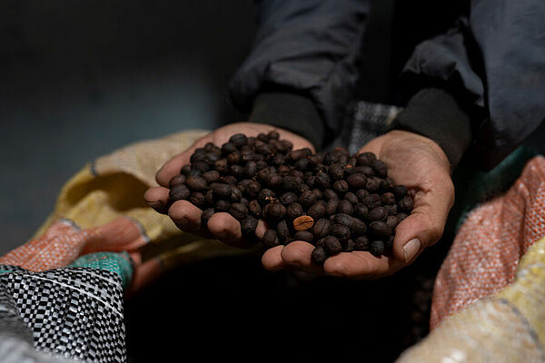 H&auml;nde mit Kaffeebohnen