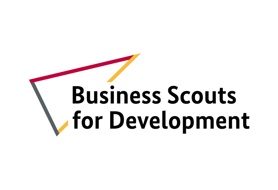 Logo Business Scout for Development Programm