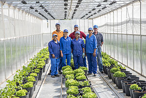 Gruppe von Arbeitnehmern in Gewächshaus umgeben von Pflanzen